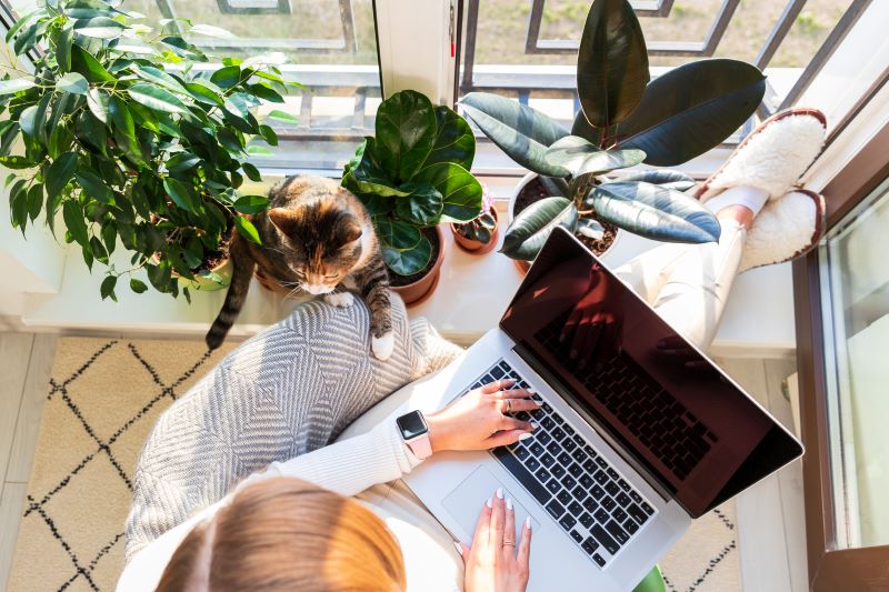 Es importante conocer las claves para conseguir trabajo remoto en empresas internacionales